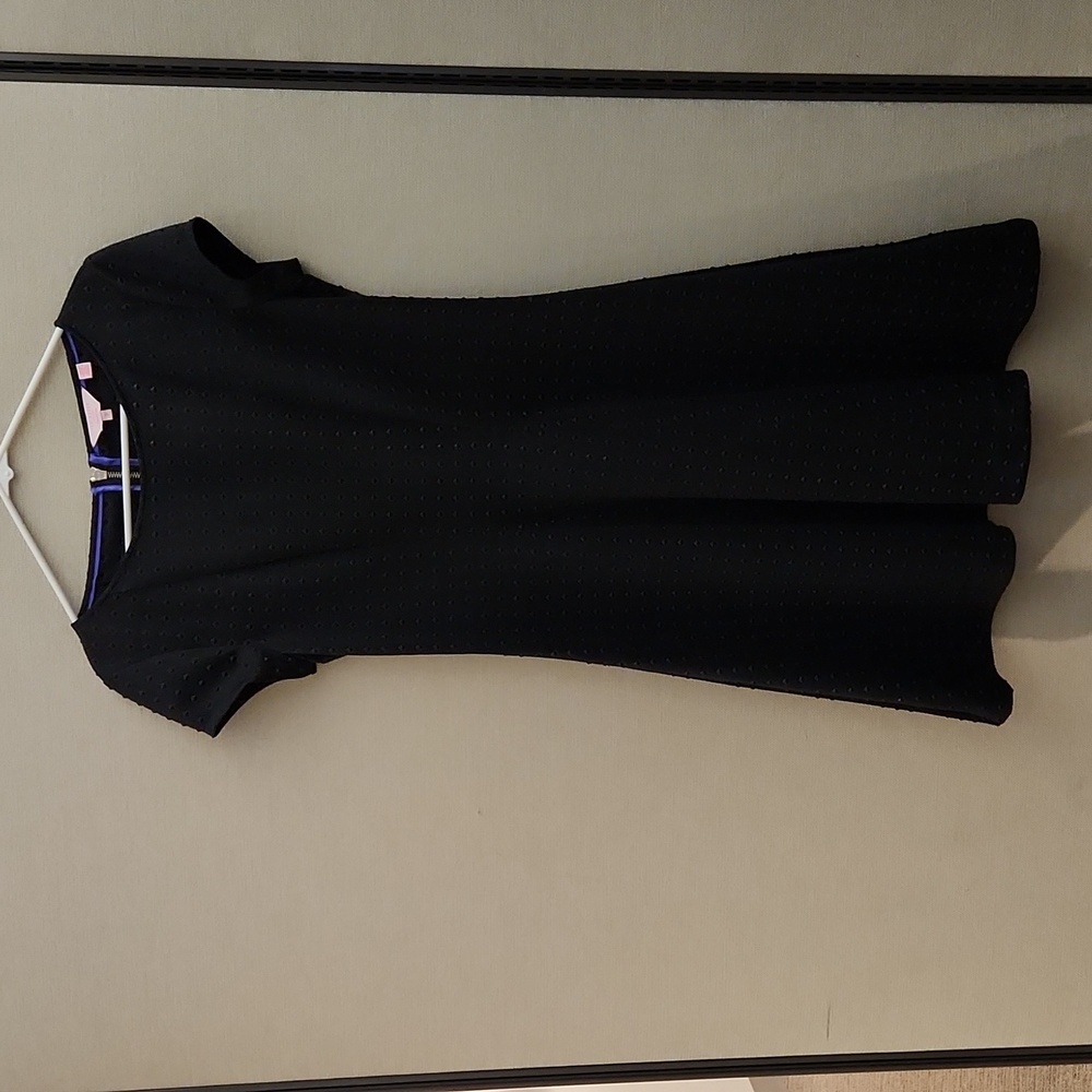 Ted Baker Sew In Love Fit and Flare Dress